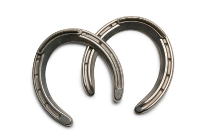 Horseshoes<span class="pageAnchor" id="horseshoes"></span>